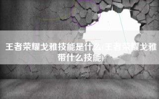 王者荣耀戈雅技能是什么(王者荣耀戈雅带什么技能)