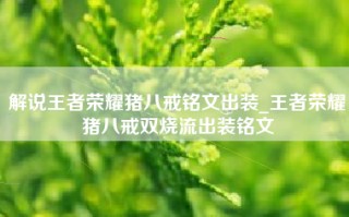 解说王者荣耀猪八戒铭文出装_王者荣耀猪八戒双烧流出装铭文