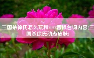 三国杀徐氏怎么玩和2022曹操台词内容(三国杀徐氏动态皮肤)