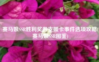 赛马娘SSR胜利奖券支援卡事件选项攻略(赛马娘SSR图鉴)