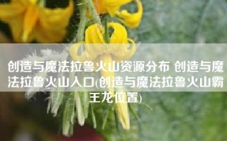 创造与魔法拉鲁火山资源分布 创造与魔法拉鲁火山入口(创造与魔法拉鲁火山霸王龙位置)