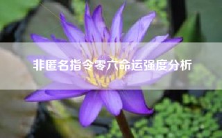 非匿名指令零六命运强度分析