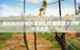 秦时明月世界兵家怎么样(秦时明月世界兵家武器)