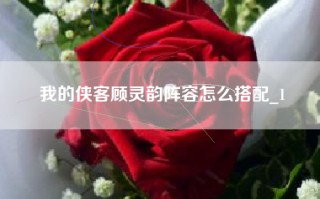 我的侠客顾灵韵阵容怎么搭配_1