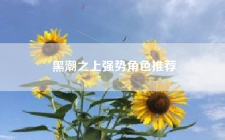 黑潮之上强势角色推荐