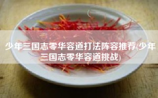 少年三国志零华容道打法阵容推荐(少年三国志零华容道挑战)