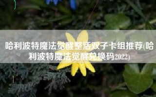 哈利波特魔法觉醒整活双子卡组推荐(哈利波特魔法觉醒兑换码2022)
