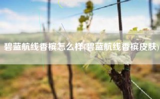 碧蓝航线香槟怎么样(碧蓝航线香槟皮肤)