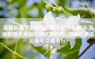 英雄联盟手游账号权限不足怎么解决(英雄联盟手游超燃测试删档吗)(英雄联盟手游账号交易平台)