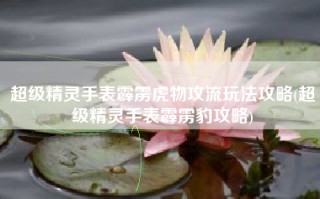 超级精灵手表霹雳虎物攻流玩法攻略(超级精灵手表霹雳豹攻略)