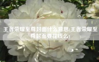 王者荣耀至尊封面什么意思(王者荣耀至尊封面要花钱么)