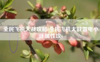 全民飞机大战攻略(全民飞机大战雷电小汪属性攻)