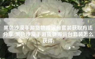 黑色沙漠手游货物搬运台套装获取方法分享(黑色沙漠手游货物搬运台套装怎么获得)