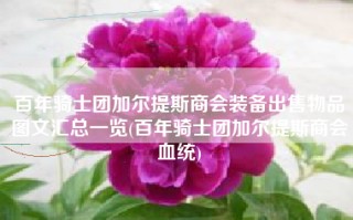 百年骑士团加尔提斯商会装备出售物品图文汇总一览(百年骑士团加尔提斯商会血统)