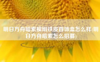 明日方舟暗索模组铁皮首饰盒怎么样(明日方舟暗索怎么招募)