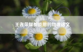 王者荣耀都能用的物理铭文