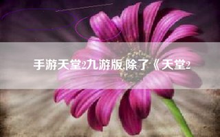 手游天堂2九游版,除了《天堂2
