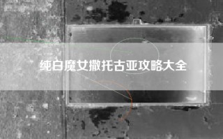 纯白魔女撒托古亚攻略大全