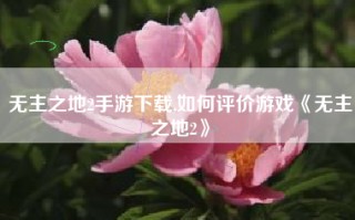 无主之地2手游下载,如何评价游戏《无主之地2》