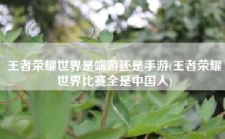 王者荣耀世界是端游还是手游(王者荣耀世界比赛全是中国人)