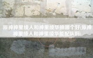 原神神里绫人和神里绫华抽哪个好(原神神里绫人和神里绫华能配队吗)