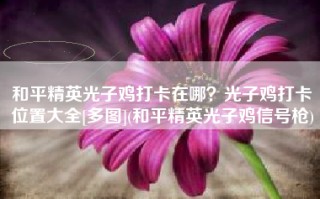 和平精英光子鸡打卡在哪？光子鸡打卡位置大全[多图](和平精英光子鸡信号枪)