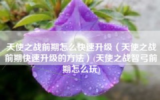 天使之战前期怎么快速升级（天使之战前期快速升级的方法）(天使之战智弓前期怎么玩)