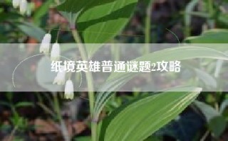 纸境英雄普通谜题2攻略