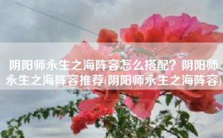 阴阳师永生之海阵容怎么搭配？阴阳师永生之海阵容推荐(阴阳师永生之海阵容)