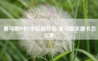 赛马娘P卡S卡区别介绍(赛马娘支援卡怎么带)