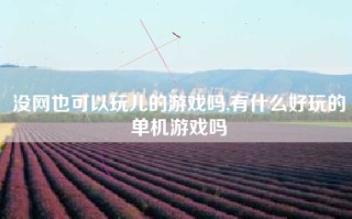 没网也可以玩儿的游戏吗,有什么好玩的单机游戏吗