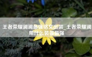 王者荣耀澜澜最强铭文出装_王者荣耀澜带什么装备最强