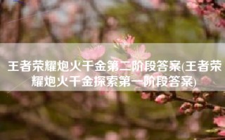 王者荣耀炮火千金第二阶段答案(王者荣耀炮火千金探索第一阶段答案)