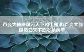百变大侦探风云天下凶手是谁(百变大侦探风云天下剧本杀凶手)