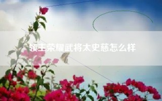 领主荣耀武将太史慈怎么样