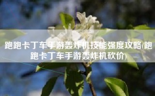 跑跑卡丁车手游轰炸机技能强度攻略(跑跑卡丁车手游轰炸机砍价)