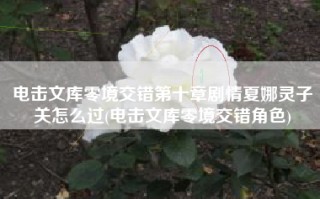 电击文库零境交错第十章剧情夏娜灵子关怎么过(电击文库零境交错角色)
