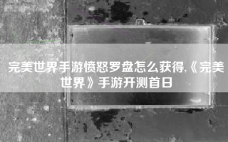 完美世界手游愤怒罗盘怎么获得,《完美世界》手游开测首日