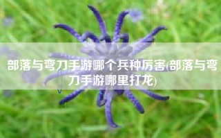部落与弯刀手游哪个兵种厉害(部落与弯刀手游哪里打龙)