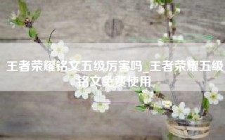 王者荣耀铭文五级厉害吗_王者荣耀五级铭文免费使用