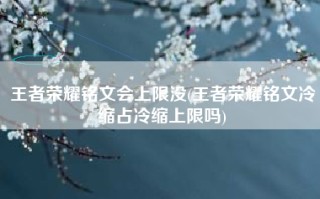 王者荣耀铭文会上限没(王者荣耀铭文冷缩占冷缩上限吗)