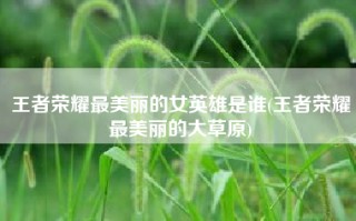 王者荣耀最美丽的女英雄是谁(王者荣耀最美丽的大草原)