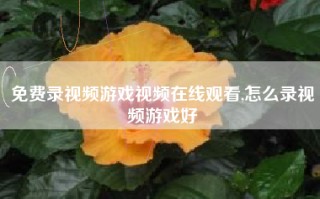 免费录视频游戏视频在线观看,怎么录视频游戏好