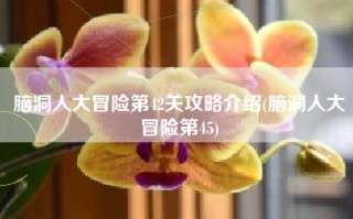 脑洞人大冒险第42关攻略介绍(脑洞人大冒险第45)