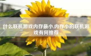 什么联机游戏内存最小,内存小的联机游戏有何推荐