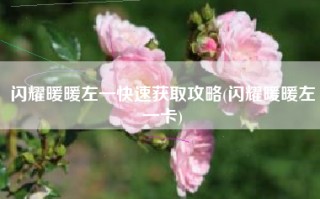 闪耀暖暖左一快速获取攻略(闪耀暖暖左一卡)