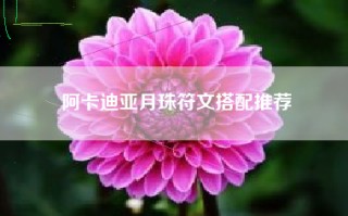 阿卡迪亚月珠符文搭配推荐
