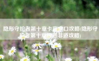隐形守护者第十章卡窗户口攻略(隐形守护者第十章极恶非道攻略)