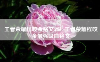 王者荣耀程咬金铭文5级_王者荣耀程咬金最强吸血铭文