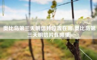 奥比岛第三天明信片位置在哪(奥比岛第三天明信片在哪里)